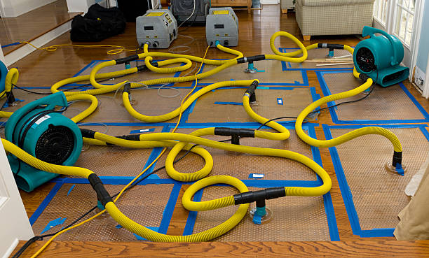 Professional Flood Damage Restoration technician working in White Hall, IL